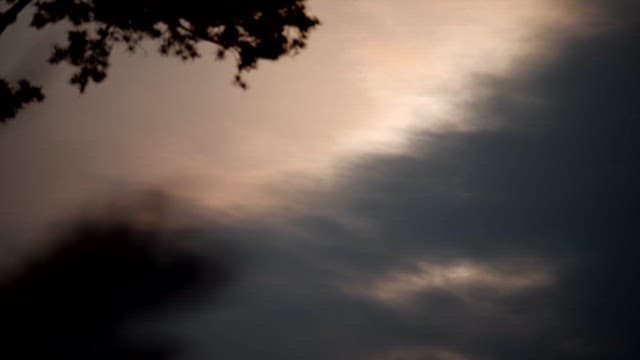 나무 가지 사이로 보이는 구름 속 일몰
