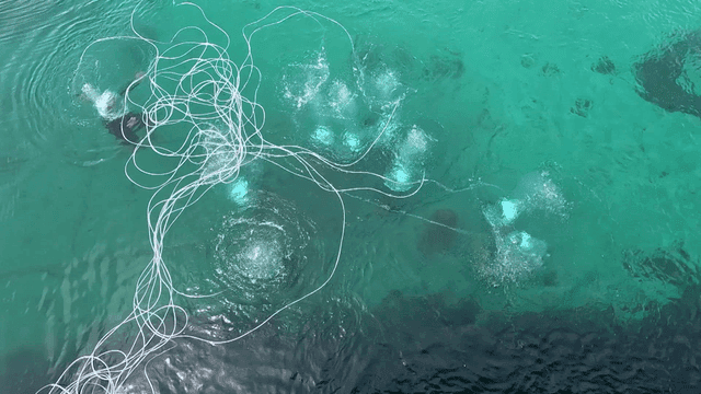 공기방울 사이로 수중을 탐험하는 잠수부들