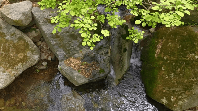 Small waterfall flowing over rocks