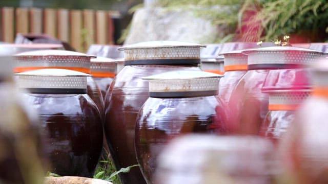 장독대 옆에 핀 분홍색의 맨드라미꽃