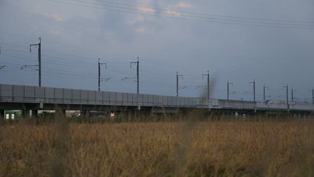 High-speed train on a bridge over a field at dusk