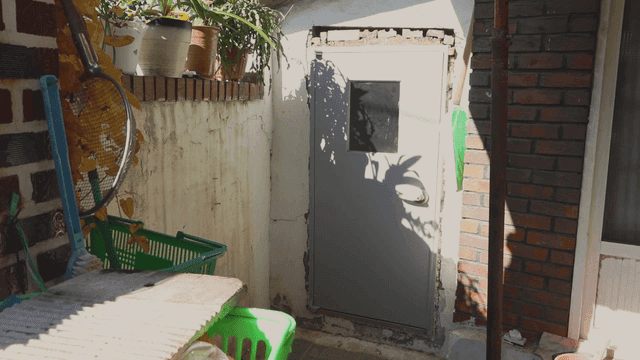 식물이 있는 작은 안뜰