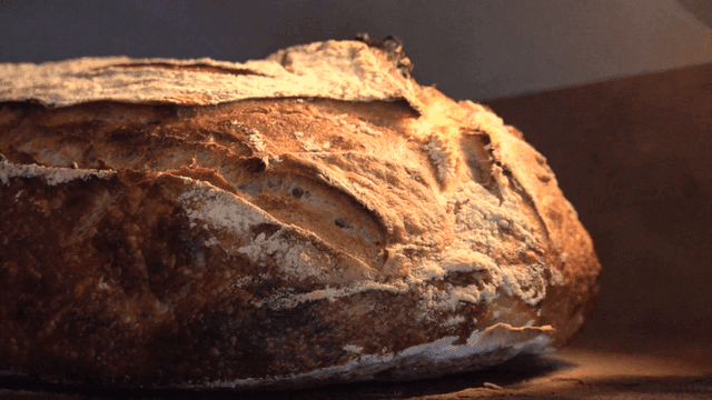 오븐에서 구워지고 있는 사워도우