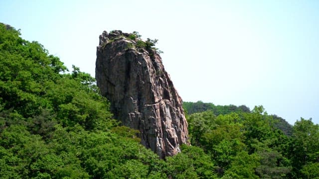 산의 무성한 녹색 숲으로 둘러싸인 거대한 바위