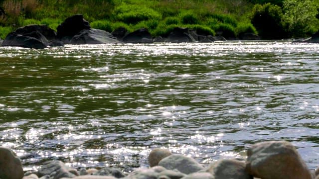 Flowing river with rocks and greenery