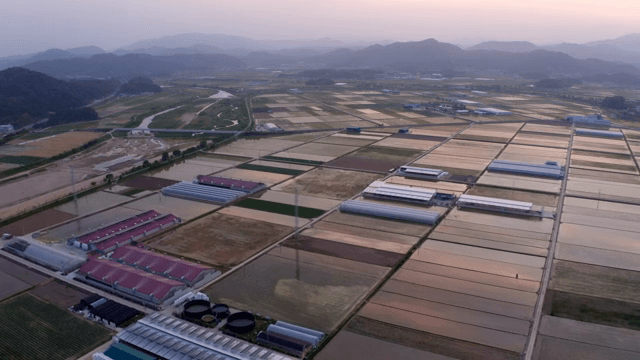 Expansive farmland at dusk with mountains