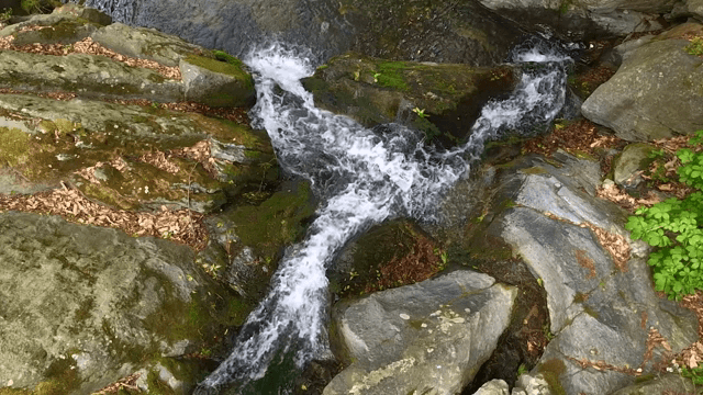 바위를 타고 흐르는 작은 폭포