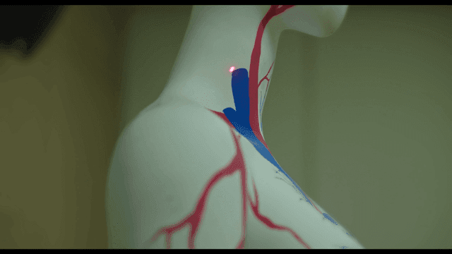 해부학적 표시가 있는 마네킹