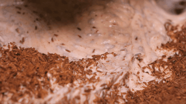 Electric whisk mixing mayonnaise with cumin seeds