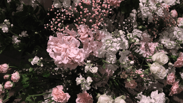 분홍색과 흰색 꽃다발