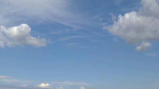 Marine Landscape with Transmission Towers and Buildings
