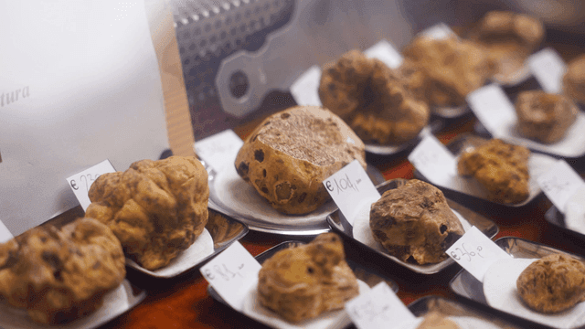Truffle display with price tags