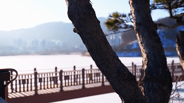 도시 배경의 다리 옆 나무