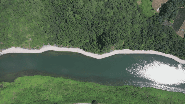 푸른 숲으로 둘러싸인 강의 항공 뷰