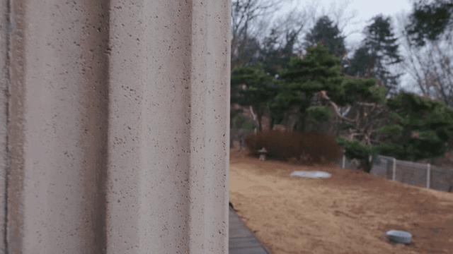 나무와 나무 판자가 있는 정원