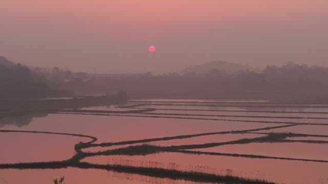 Sunset over serene rice fields