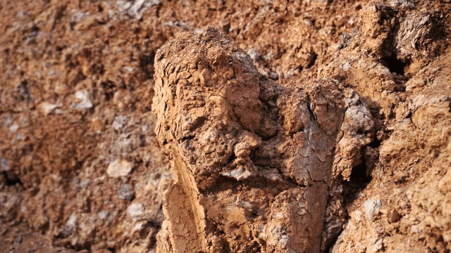 뭉쳐있는 진흙 표면