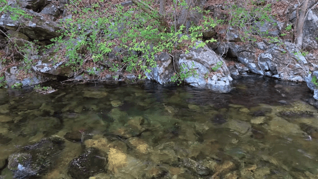 Clear stream flowing over rocks