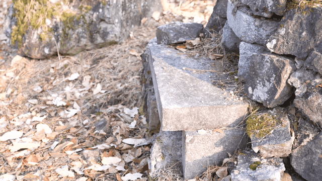 Pile of mossy rocks in forest