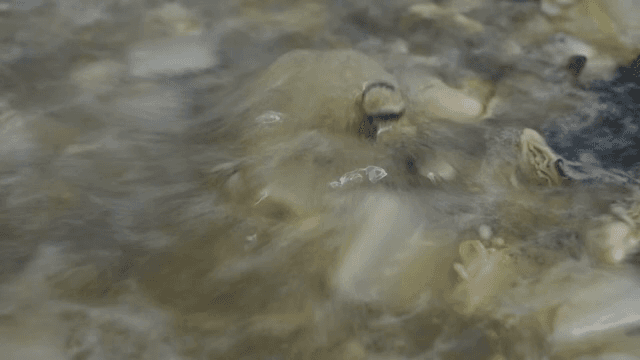 무와 다시마가 들어간 끓고 있는 맑은 굴국