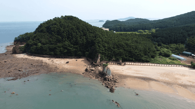 Beautiful coastal forest and beach.