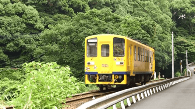 푸른 숲을 지나가는 노란 기차