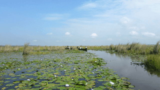 Tranquil lake with canoes and water lilies