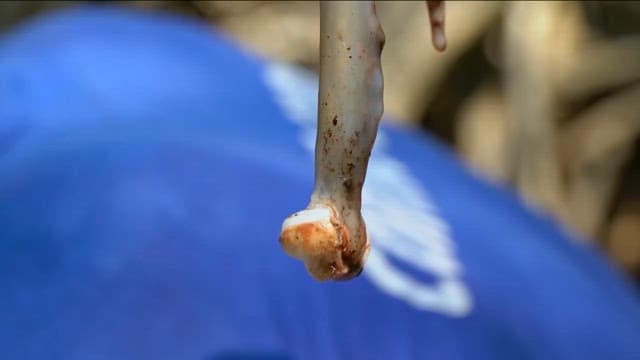 매끄러운 타밀록을 들고 있는 손