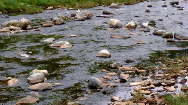 Flowing stream with lots of rocks and pebbles