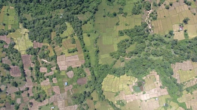 Expansive farmland with lush greenery