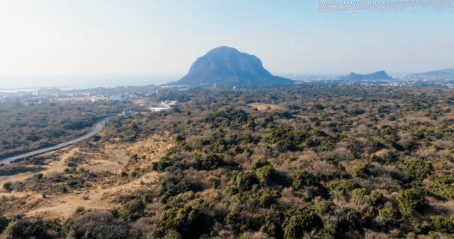 멀리 산이 보이는 광활한 풍경