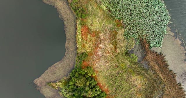 Serene lake with greenery