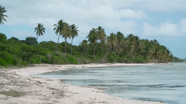 야자수와 구름이 있는 고요한 해변