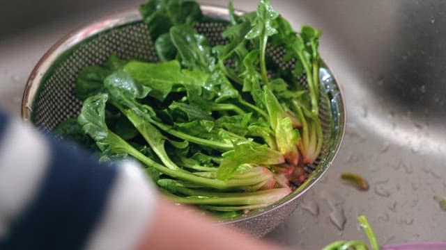 싱크대에서 콜랜더에 신선한 시금치를 씻는 모습