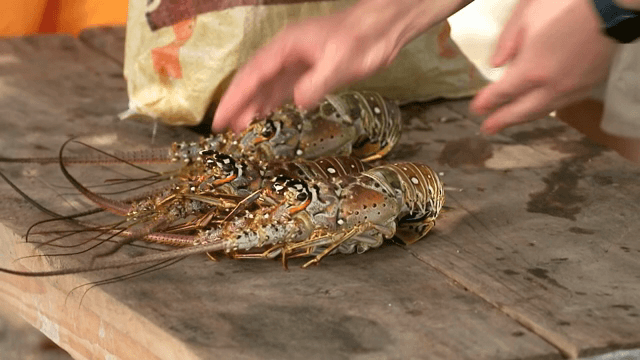 야외 나무 테이블 위의 바닷가재