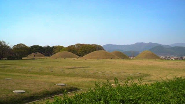 Tombs from the Silla Dynasty surrounded by plants under a clear sky