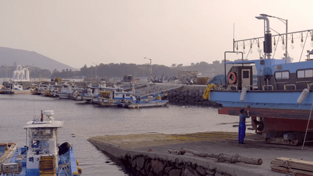 평화로운 항구에 정박한 어선들