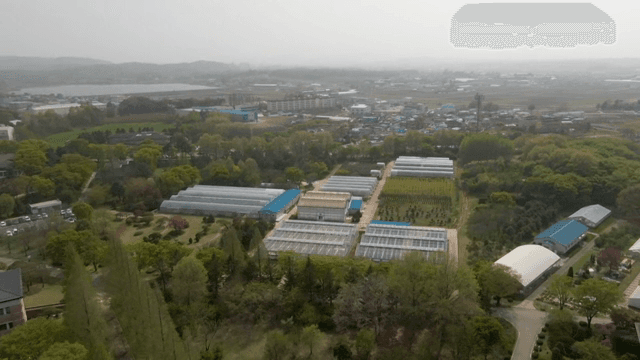온실과 농경지의 항공 뷰