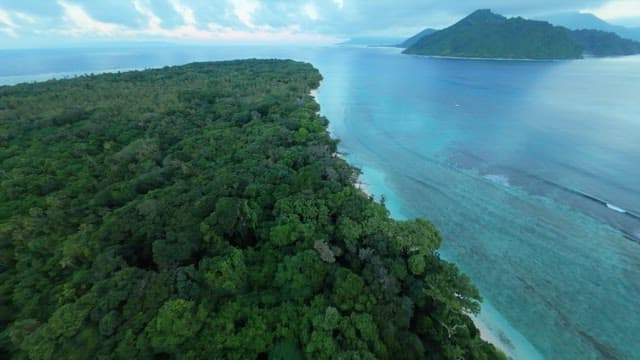 Quiet beach on an island with lush forest at dawn