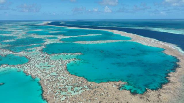 Aerial View of Tropical Coral Reefs