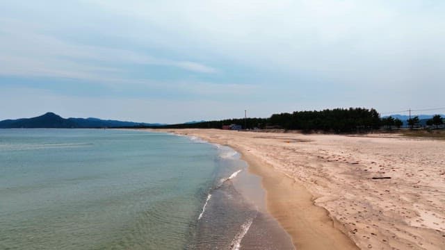 잔잔한 파도가 있는 고요한 해변