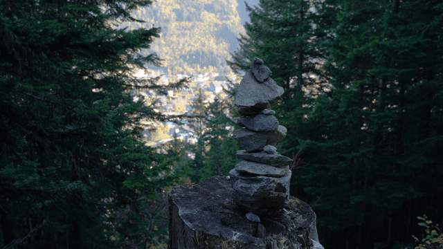 Stone tower built on tree stump in forest