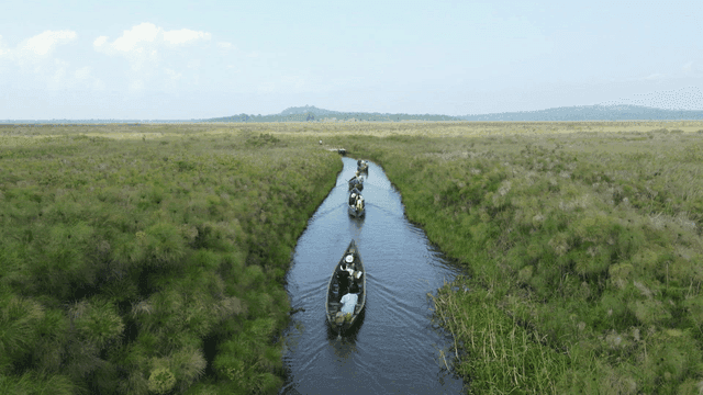 넓은 들판의 좁은 강을 항해하는 카누들