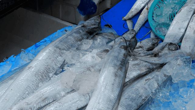 시장에 얼음 위에 놓인 신선한 생선