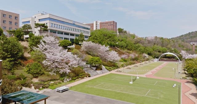 Scenic campus with cherry blossoms