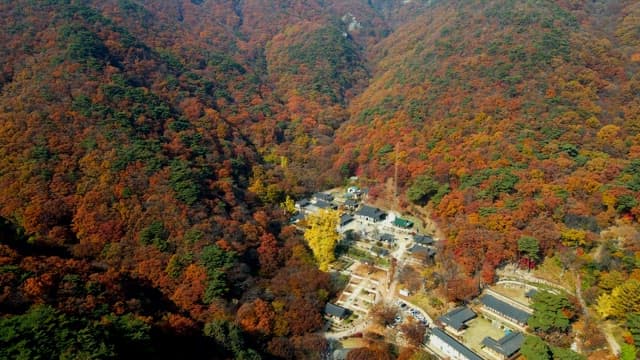 Serene temple in the mountains covered in autumn leaves