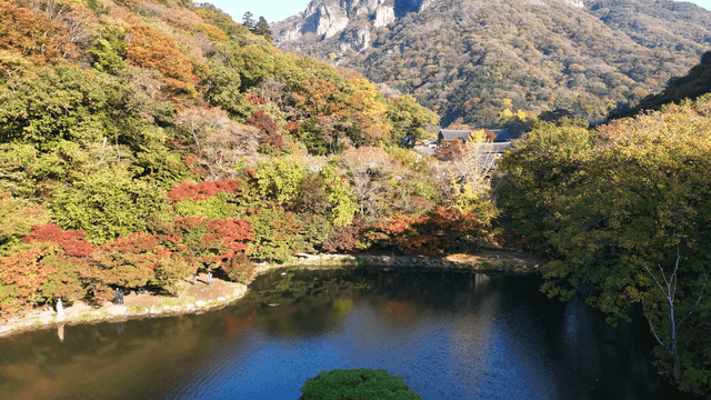 Tranquil pond surrounded by autumn foliage