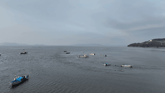 해안 근처 잔잔한 바다에 떠 있는 배들
