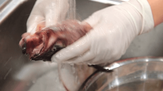 흐르는 물에 씻는 명태