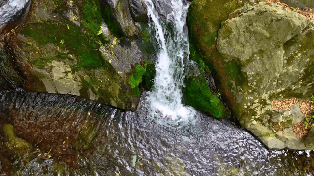 Small waterfall flowing over mossy rocks